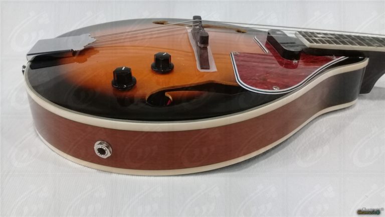 Mandoline VGS Electro - Élégance Amplifiée : (Avec étui) - Cham Music -