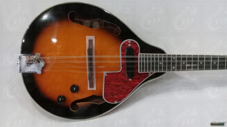Mandoline VGS Electro - Élégance Amplifiée : (Avec étui) - Cham Music -