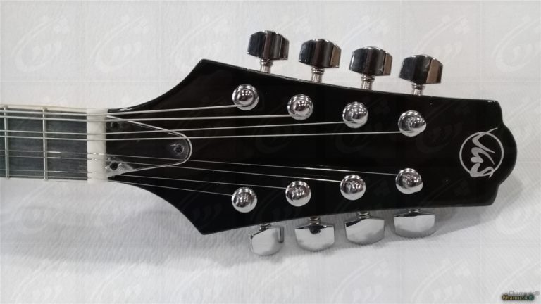 Mandoline VGS Electro - Élégance Amplifiée : (Avec étui) - Cham Music -