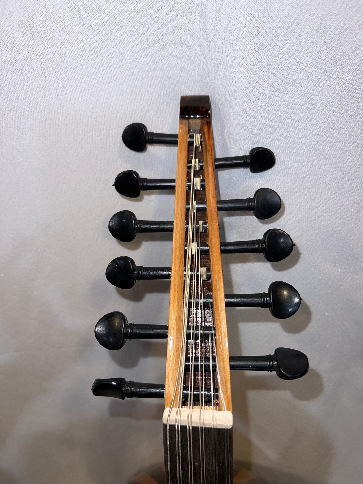 Oud turc débutant/intermédiaire Noyer, Érable et Épicéa – Modèle 2 - Cham Music - 