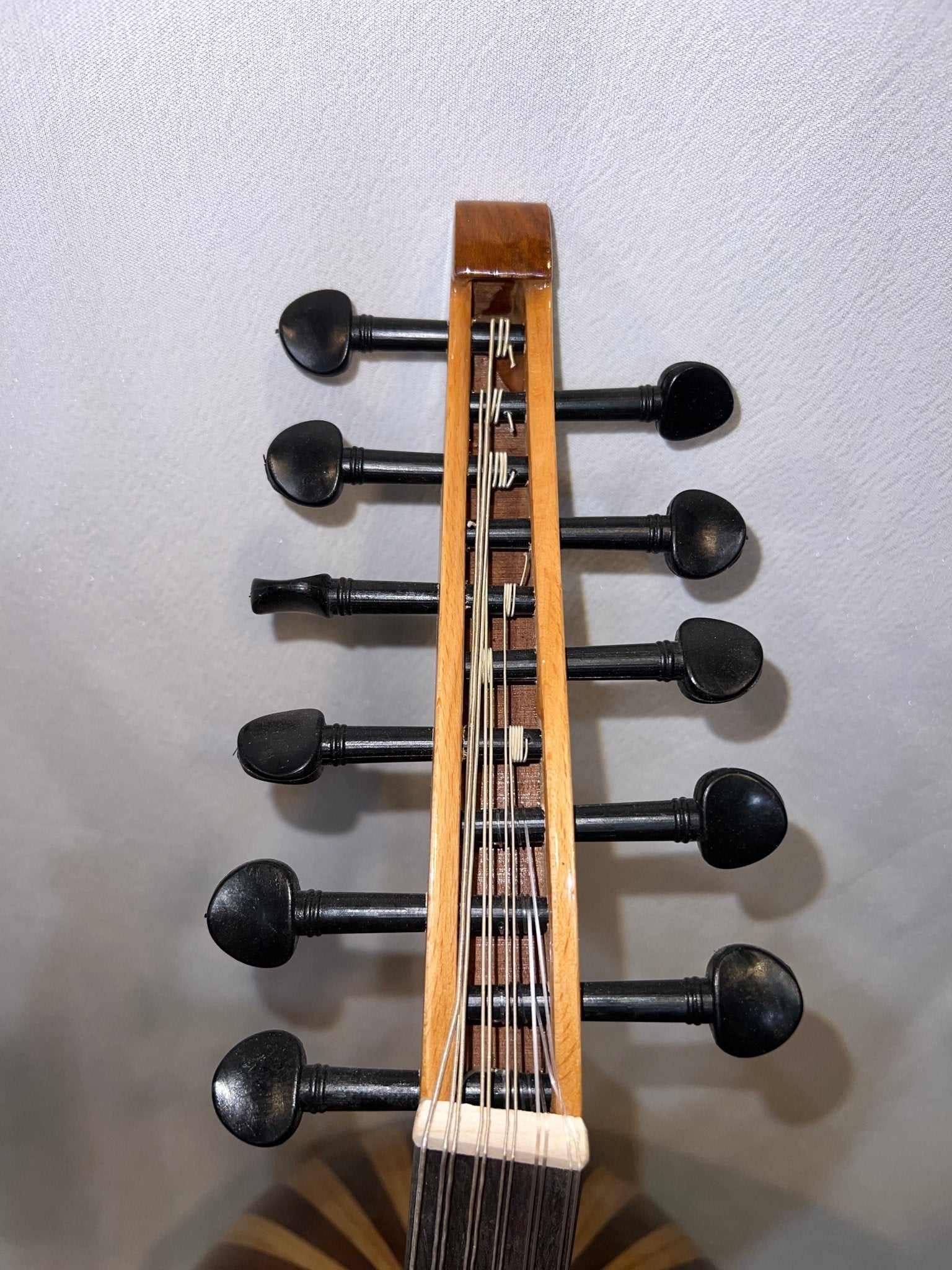 Oud turc débutant/intermédiaire Noyer, Érable et Épicéa – Modèle 3 - Cham Music - 
