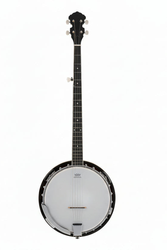 5-String Banjo - Bluegrass Power