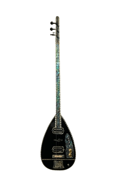 Un instrument rare, conçu pour impressionner - Cham Music - 